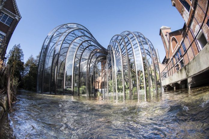 apertura_2456367;1_View