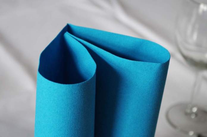 a-napkin-1081488_1920 (1) Essity