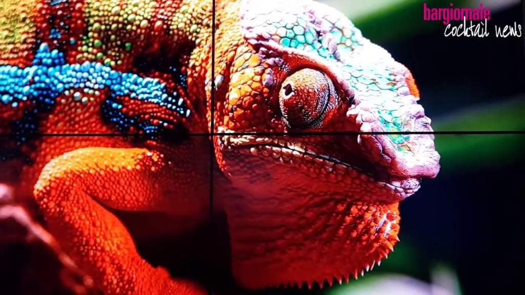 Domino display, digital signage, Masserdotti