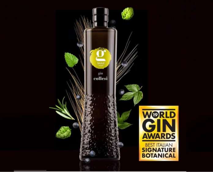 Gin Saaz Collesi Gin Saaz Collesi