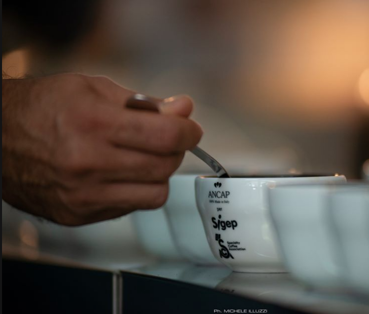 Fase gara Cup Taster