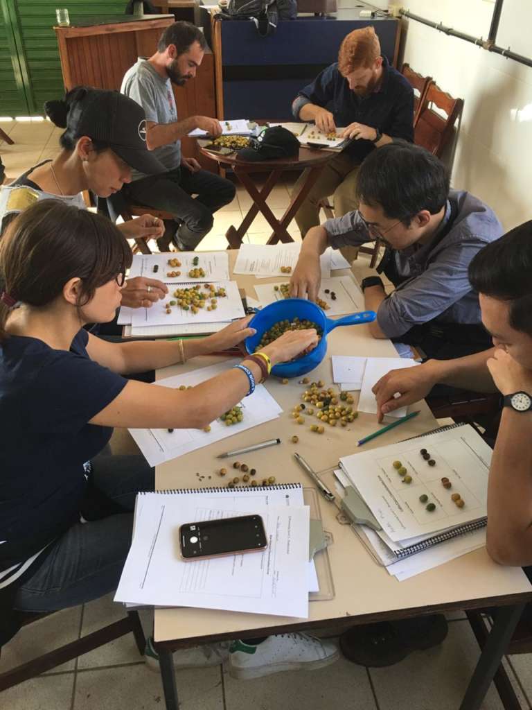 Fase di studio del Q Processing Level 2