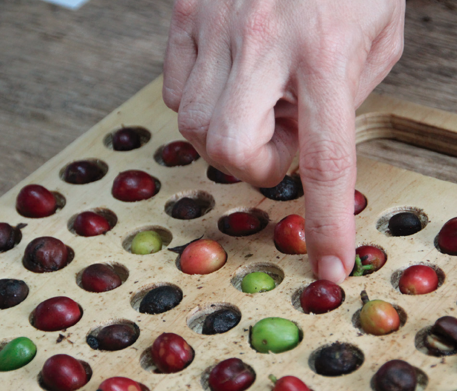 Il programma Q Processing si svolge in tre fasi