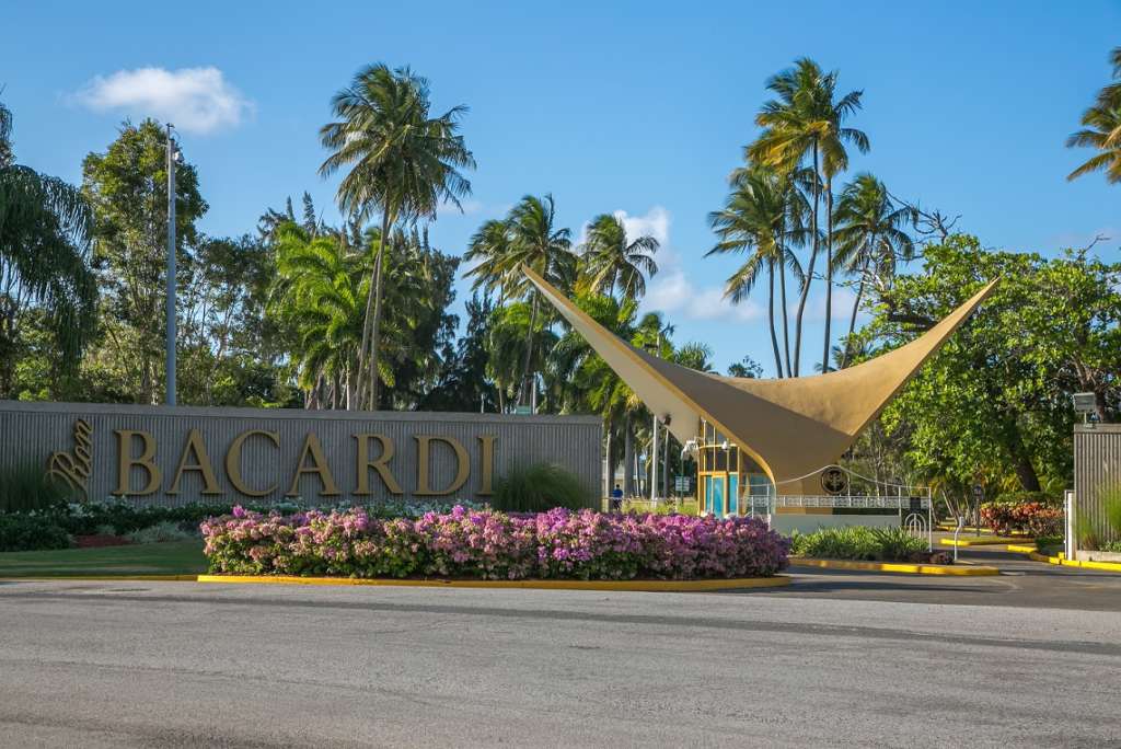 Bacardi Group
