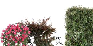 Al bar o al ristorante tra il verde