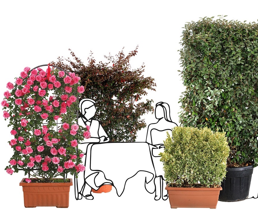 Al bar o al ristorante tra il verde