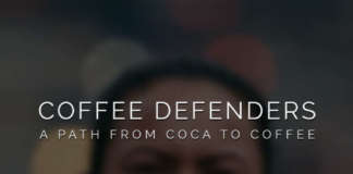 Lavazza Coffee Defenders game