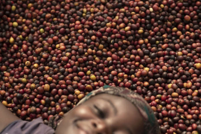 Changing world: the women of coffee-portraits from Masaka Changing world: the women of coffee-portraits from Masaka