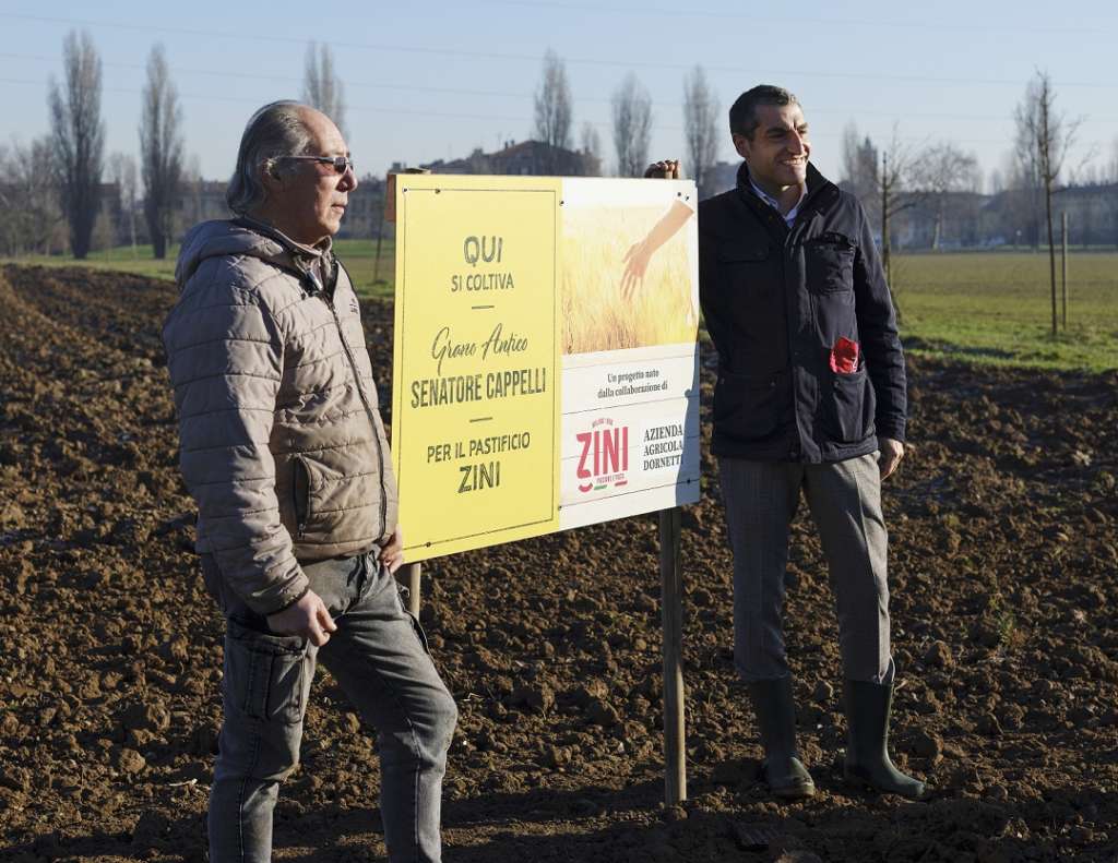 Zini grano Senatore Cappelli