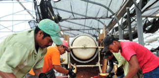 RitterSport_ElCacao2