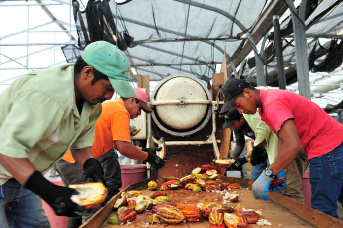 RitterSport_ElCacao2