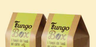 Fungo Box