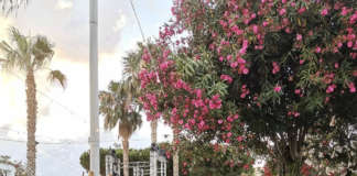 Bahianaca Reggio Calabria