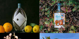 gin bartender