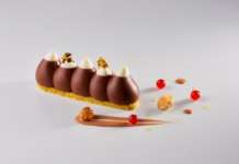 BUDINO CIOCCO cameo Professional