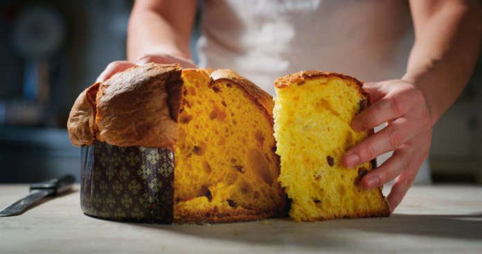 panettone panettone