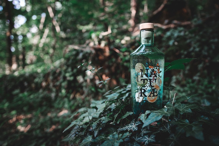 Fructetum Naturae Gin