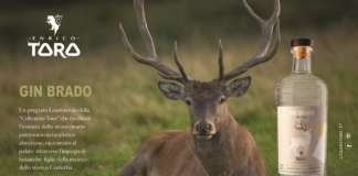 Gin Brado Distilleria Enrico Toro