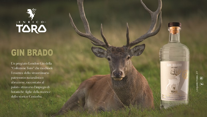 Gin Brado Distilleria Enrico Toro