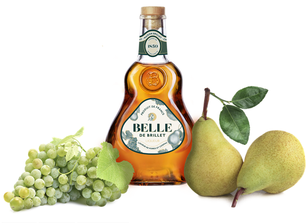 Molinari Belle de Brillet Molinari Belle de Brillet