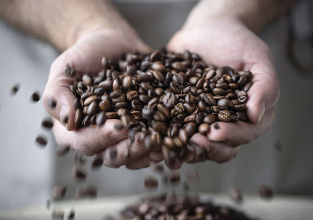 Chicchi caffè Vergnano