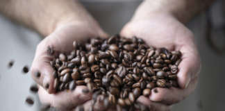 Chicchi caffè Vergnano