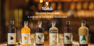 Collezione Enrico Toro