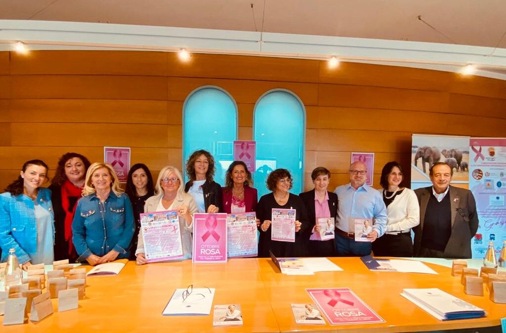 Fonte Plose Nastro Rosa