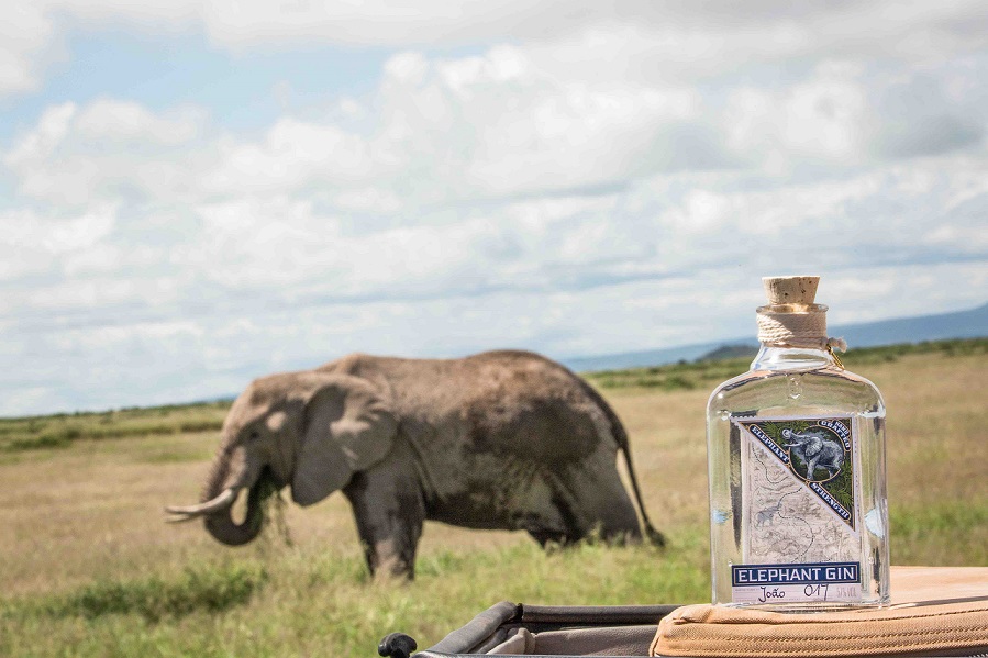 Compagnia dei Caraibi Elephant Gin