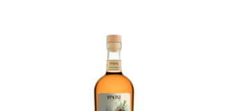 Liquore Pinus Mugo Pisoni