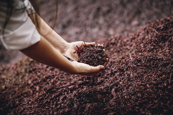 Bonollo Biometano (2)