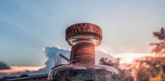 Procera Gin Blue Dot 2022 Vintage