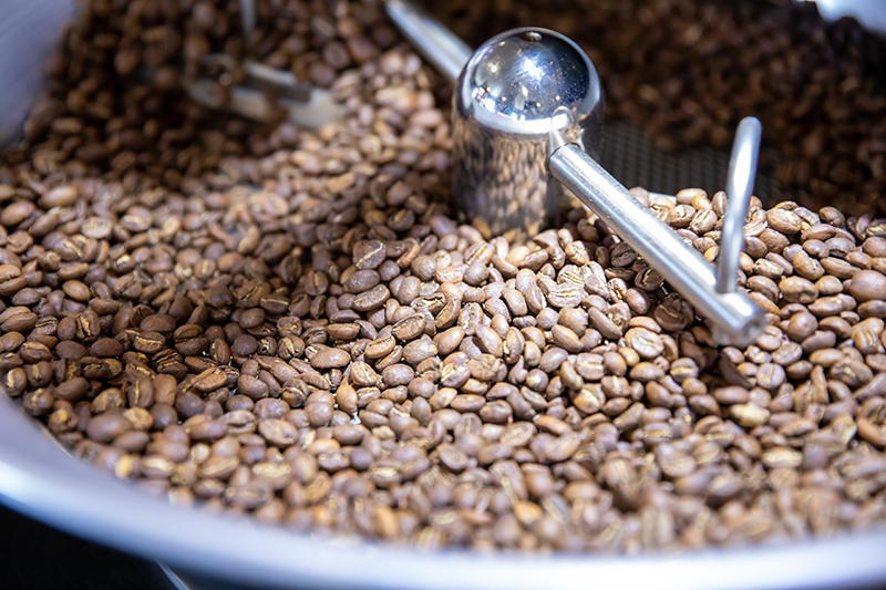 Progetto PiantiAmo il futuro