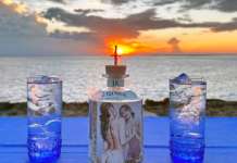 J.Rose Gin: quando il gin diventa arte da gustare e collezionare J.Rose Gin