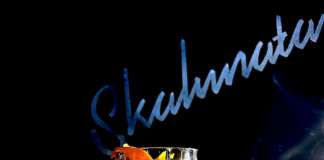 La Skalunata Arte del Recupero - Laphraig 10 anni, Sherry, Martini Bitter Reserva, Bitter Peychaud's