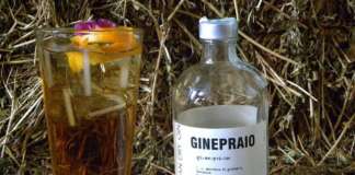 Rinaldi 1957 gin