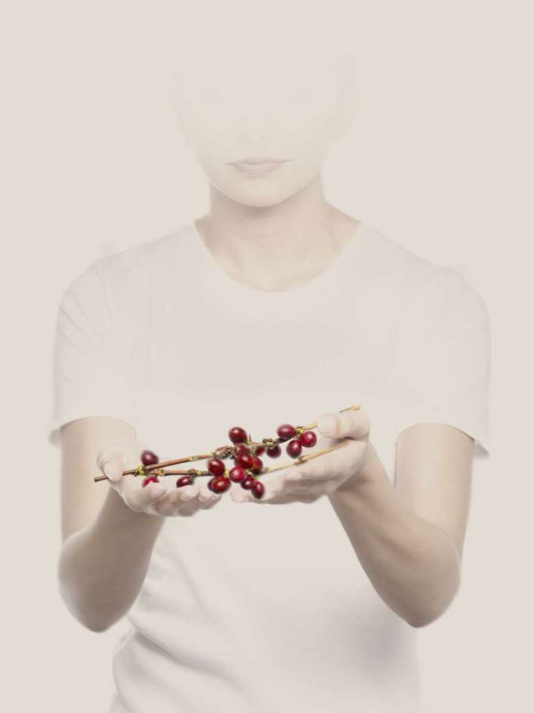 Università del Caffè illy