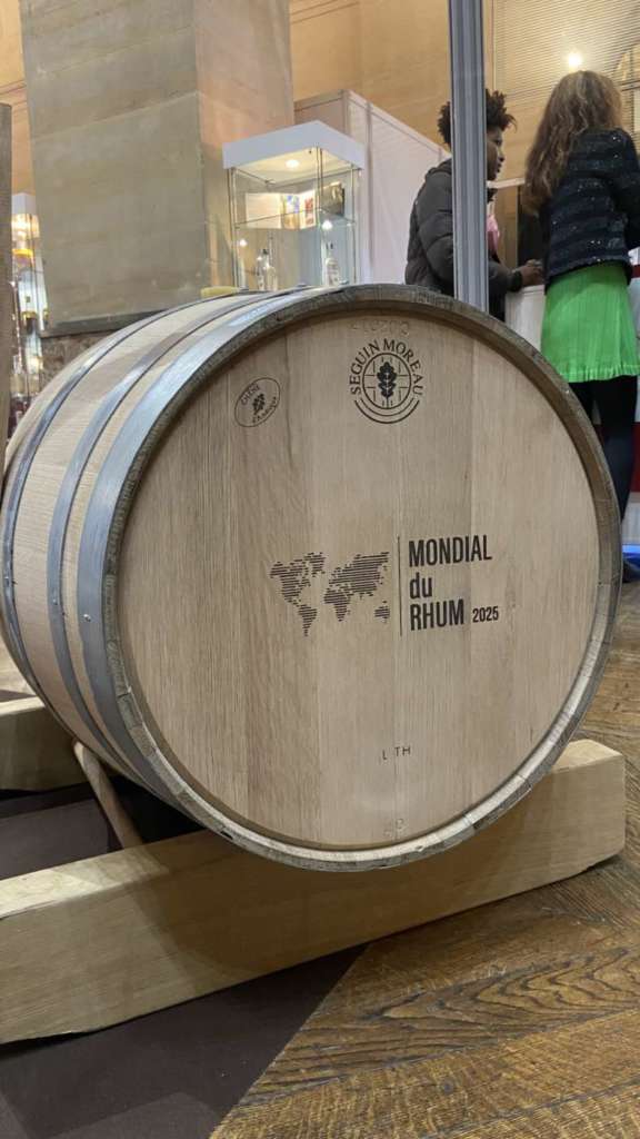 mondial du rhum 2025