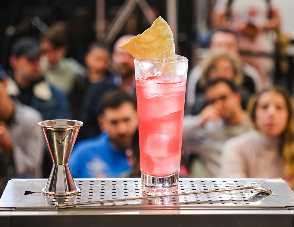 Mixology Experience DEM cover