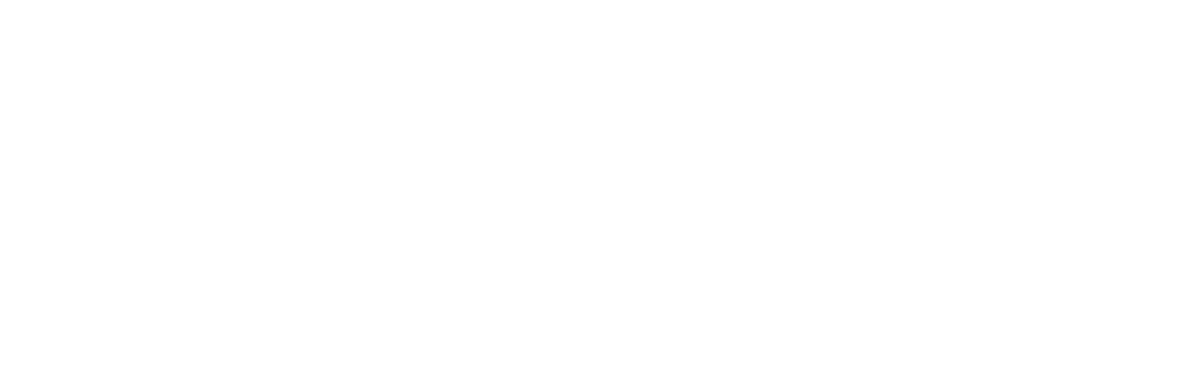 bg_bargiornale_logo_bianco