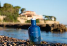 ArGintario: un concentrato di Maremma in un gin
