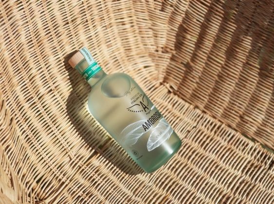 Ambrosia Gin DayEdition_paglia