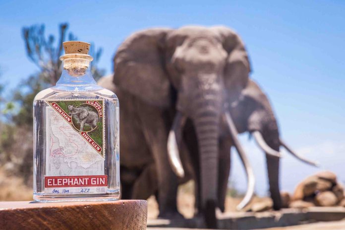Elephant Gin _3_0 Elephant Gin _3_0