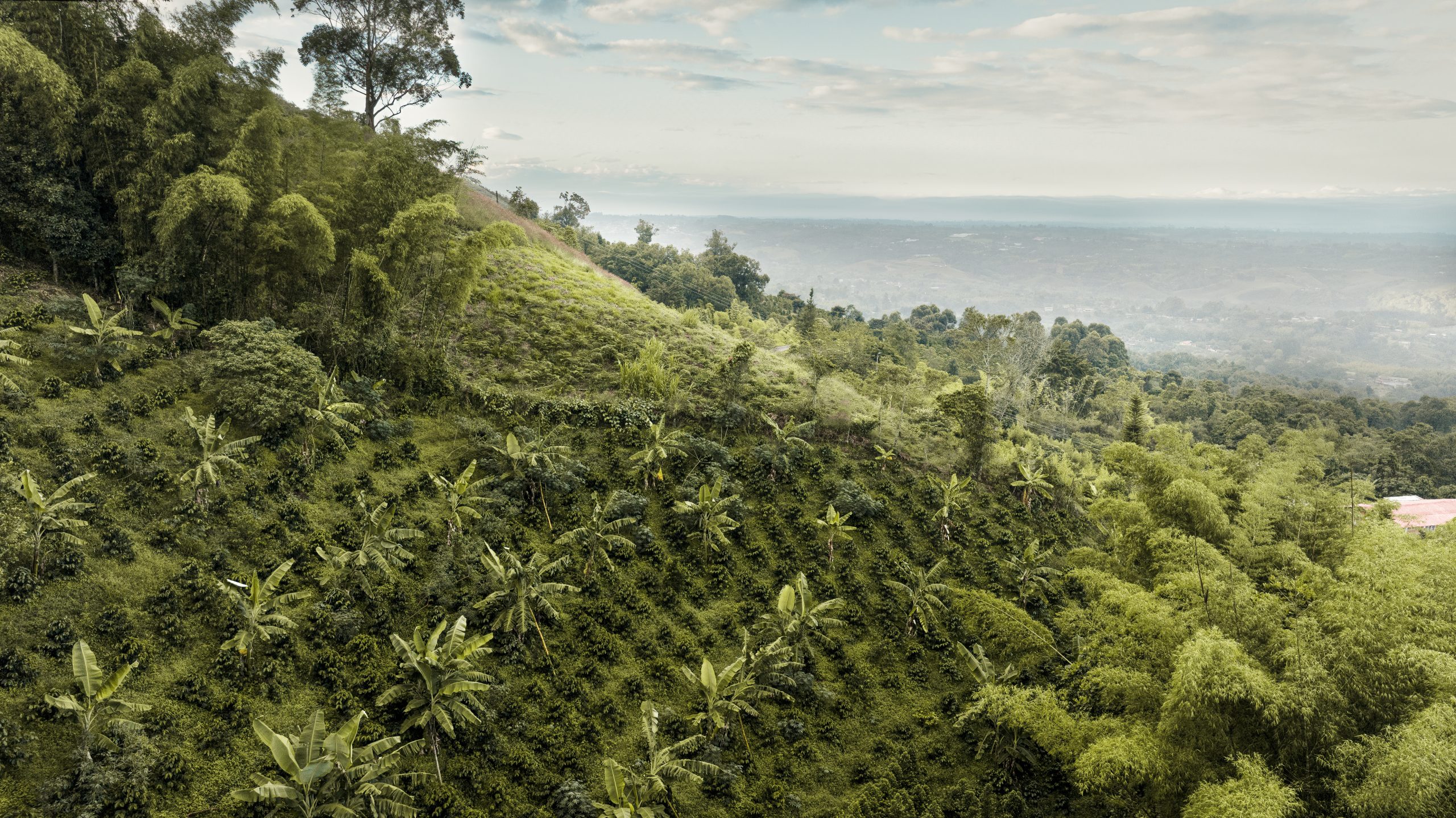 finca_paraiso