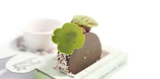 Viaggio al Sud - Antonino Maresca