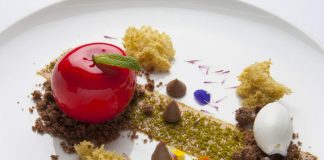 Garden of eden, Concorso Scappi