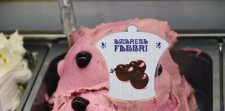 Amarena Fabbri Simplè