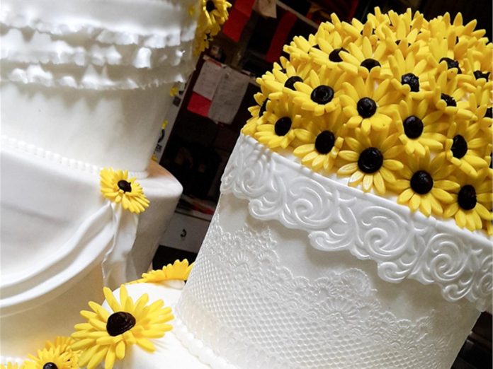 CAST CORSI MARZO CAST CORSI MARZO