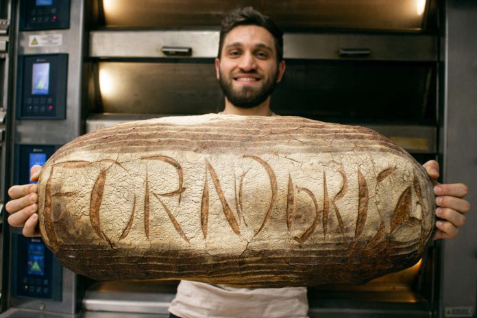 forno brisa 1 forno brisa 1