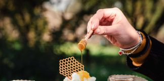 Tonka gelateria_luppolo_agrumi